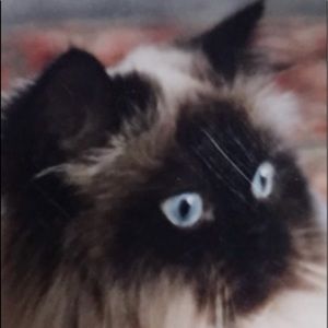 Meet your Posher, Jola